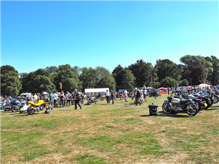 14. General view of show